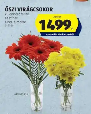ALDI Őszi virágcsokor ajánlat