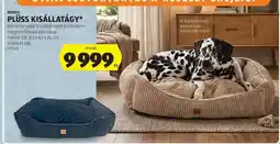 ALDI PLÜSS KISÁLLATÁGY ajánlat