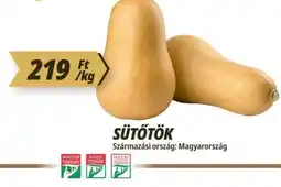 Príma sütőtök ajánlat