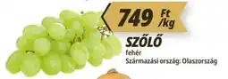 Príma szőlő ajánlat