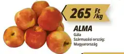 Príma Alma ajánlat