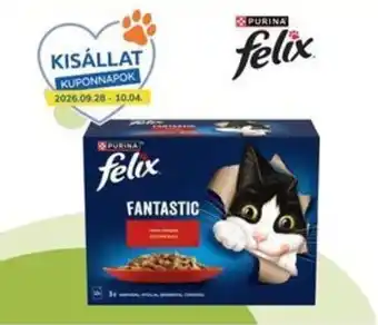 Felix fantastic