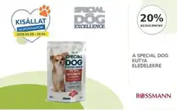Rossmann A Special Dog Kutya Eledelekre ajánlat