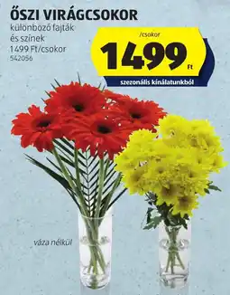 ALDI őszi virágcso ajánlat