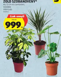 ALDI Zold szobanoveny ajánlat