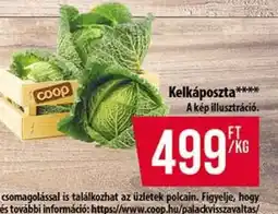 Coop Kelkáposzta ajánlat