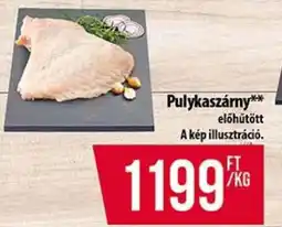 Coop Pulykaszárny ajánlat