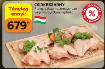 Csirkeszárny