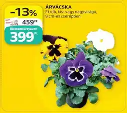 Auchan Árvácska ajánlat