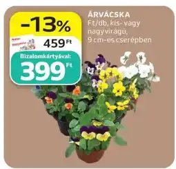 Auchan Árvácska ajánlat