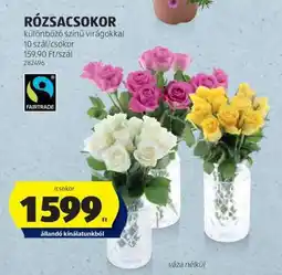 ALDI RÓZSACSOKOR ajánlat