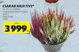 ALDI CSARAB HIGH FIVE ajánlat
