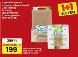 Interspar Splendid nature szivacs, szivacskendő ajánlat