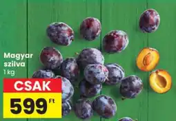 Spar Magyar szilva ajánlat