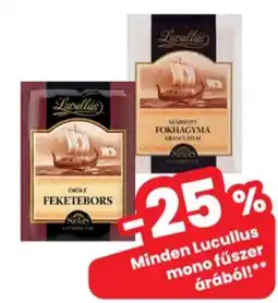 Interspar Lucullus mono fűszer ajánlat
