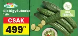 Interspar Span Natur pur bio kígyóuborka ajánlat