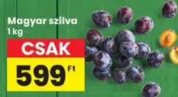 Interspar Magyar szilva ajánlat