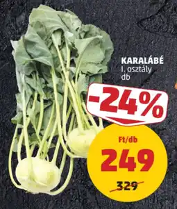 PENNY Karalábé ajánlat