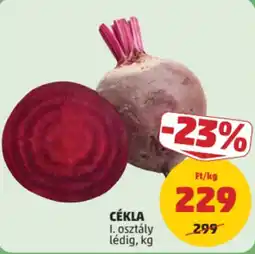 PENNY Cékla ajánlat