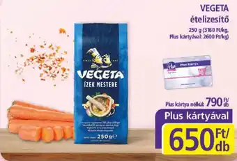 Vegeta ízek mestere