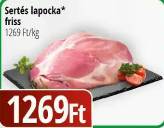 Sertés lapocka