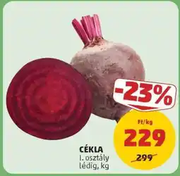 PENNY Cékla ajánlat