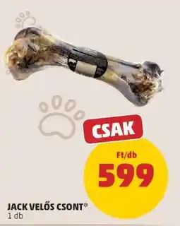 PENNY JACK Velős csont ajánlat