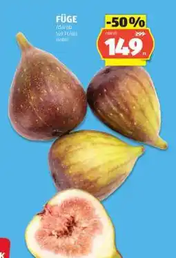 ALDI Füge ajánlat