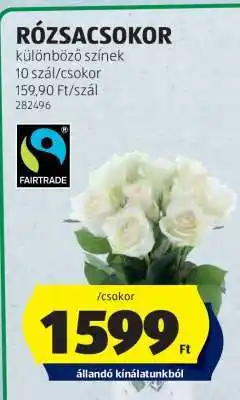 ALDI RÓZSACSOKOR ajánlat