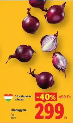 Lidl Lilahagyma ajánlat