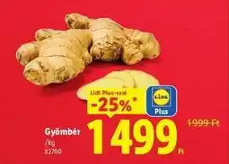 Lidl Gyömbér ajánlat