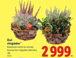 Lidl Öszi virágdekor ajánlat