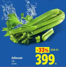 Lidl Zellerszár ajánlat