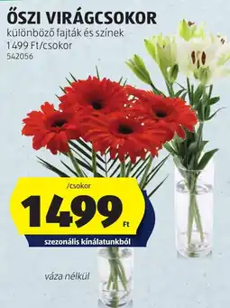 ALDI őszi virágcso ajánlat