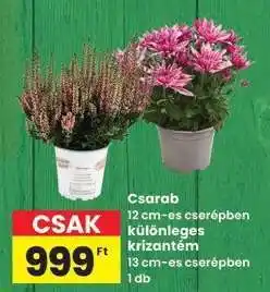 Interspar Csarab ajánlat