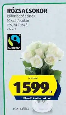 RÓZSACSOKOR