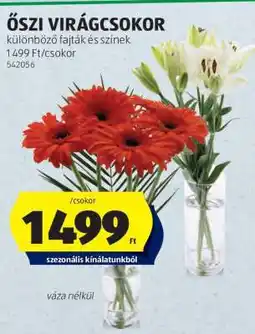 ALDI Őszi virágcsokor ajánlat