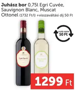 PRIVÁT Juhász bor ajánlat