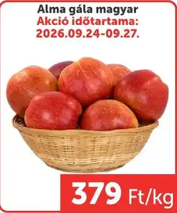 PRIVÁT Alma gála magyar ajánlat