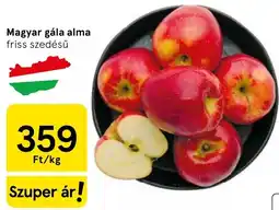 Tesco Magyar gála alma ajánlat