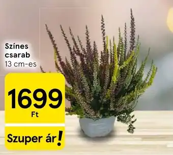 Tesco Színes csarab ajánlat