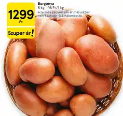 Tesco Burgonya ajánlat