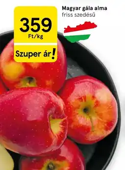 Tesco Magyar gála alma ajánlat