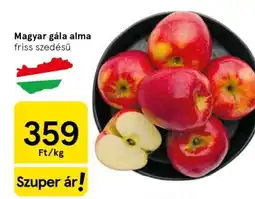 Tesco Magyar gála alma ajánlat