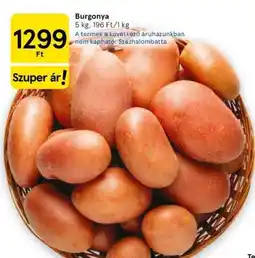 Tesco Burgonya ajánlat