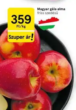 Tesco Magyar gála alma ajánlat