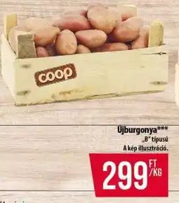 Coop Újburgonya ajánlat