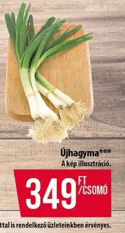 Coop Újhagyma ajánlat
