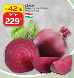 Auchan Cékla ajánlat