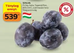 Auchan Szilva ajánlat